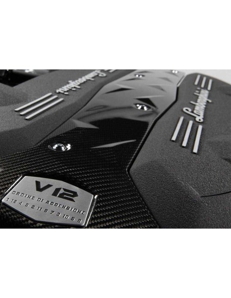 Vernice Raggrinzante Nero Per Lamborghini Alta Temperatura Motore - 250gr